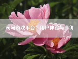 司马游戏平台：用户体验与评价