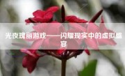 光夜瑰丽游戏——闪耀现实中的虚拟盛宴