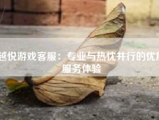 越悦游戏客服：专业与热忱并行的优质服务体验