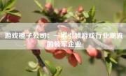 游戏橙子公司：一家引领游戏行业潮流的领军企业