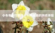 小布帮你打游戏：一种全新的游戏体验