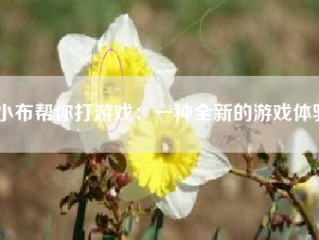 小布帮你打游戏：一种全新的游戏体验