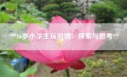 **16岁小学生玩游戏：探索与思考**