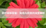 游戏审核客服：角色与职责的深度解析