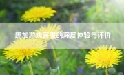 趣加游戏客服的深度体验与评价