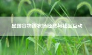 星露谷物语农场经营与社区互动