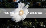 货柜整理师游戏：深入解析与探索