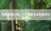 哈利游戏公司：一个值得关注的游戏行业巨头