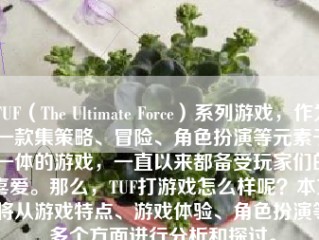 TUF（The Ultimate Force）系列游戏，作为一款集策略、冒险、角色扮演等元素于一体的游戏，一直以来都备受玩家们的喜爱。那么，TUF打游戏怎么样呢？本文将从游戏特点、游戏体验、角色扮演等多个方面进行分析和探讨。