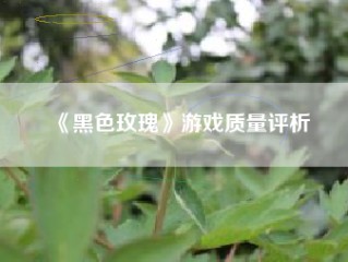 《黑色玫瑰》游戏质量评析