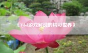 《Yylol游戏解说的精彩世界》