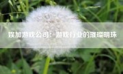 娱加游戏公司：游戏行业的璀璨明珠