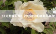 红光游戏公司：行业翘楚的崛起与展望