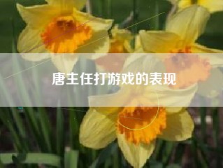 唐主任打游戏的表现