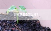 游戏满星会怎么样？