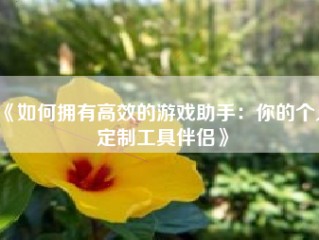 《如何拥有高效的游戏助手：你的个人定制工具伴侣》