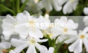 **如何查看游戏时间**