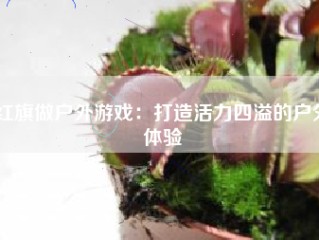 红旗做户外游戏：打造活力四溢的户外体验