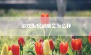 游戏版权到期会怎么样