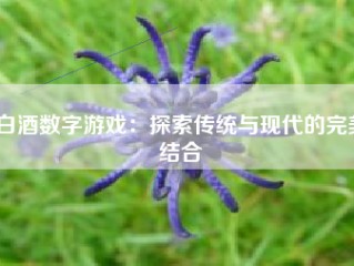 白酒数字游戏：探索传统与现代的完美结合