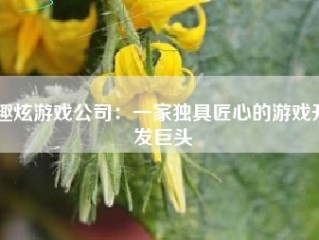 趣炫游戏公司：一家独具匠心的游戏开发巨头