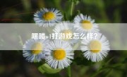 嘿喽w1打游戏怎么样？