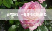 战网游戏：一种独特的游戏体验