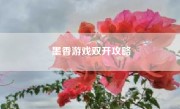 墨香游戏双开攻略