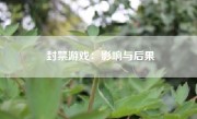 封禁游戏：影响与后果