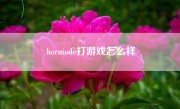 hormode打游戏怎么样