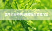 显示游戏帧率的重要性与实现方法