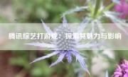 腾讯综艺打游戏：探索其魅力与影响