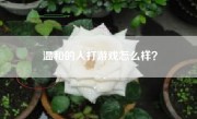 温和的人打游戏怎么样？