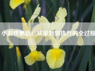 小游戏更新：从策划到执行的全过程