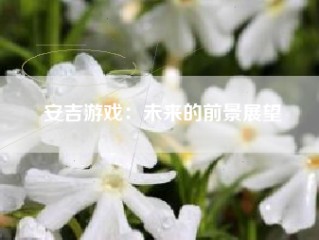 安吉游戏：未来的前景展望