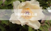 小棋牌游戏怎么样