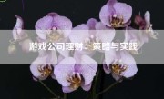 游戏公司理财：策略与实践