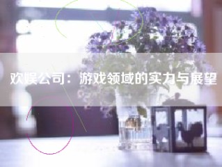 欢娱公司：游戏领域的实力与展望