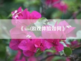 《xswl游戏体验如何》