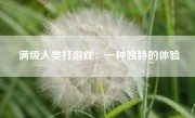 满级人类打游戏：一种独特的体验