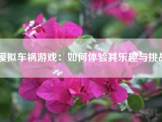 模拟车祸游戏：如何体验其乐趣与挑战