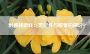 影视转游戏：可能性与前景的探讨