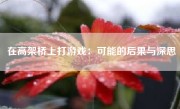 在高架桥上打游戏：可能的后果与深思