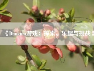 《Dunkum游戏：探索、乐趣与挑战》