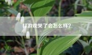 打游戏哭了会怎么样？