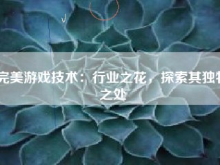 完美游戏技术：行业之花，探索其独特之处