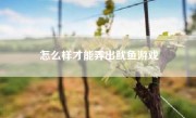 怎么样才能弄出鱿鱼游戏