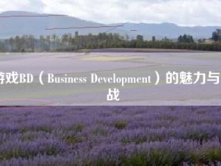 游戏BD（Business Development）的魅力与挑战