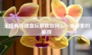 无线有线键盘玩游戏如何：一场探索的旅程