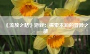 《流放之路》游戏：探索未知的冒险之旅